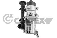 CAUTEX 751836 - Radiador de aceite, aceite motor