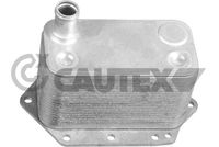 CAUTEX 758690 - Radiador de aceite, aceite motor