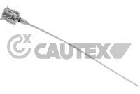 CAUTEX 758442 - Longitud [mm]: 510<br>