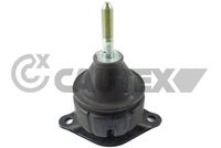 CAUTEX 759798 - Soporte, motor