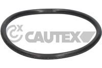 CAUTEX 952036 - Junta, termostato