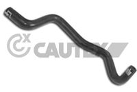 CAUTEX 021231 - Material: Caucho<br>Nº de componente: 2<br>