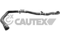 CAUTEX 767026 - Tubería de radiador