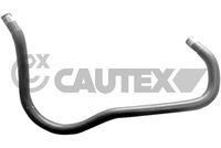 CAUTEX 767107 - Tubería de radiador