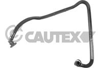 CAUTEX 767529 - Tubo flexible, ventilación del cárter