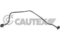 CAUTEX 757688 - 