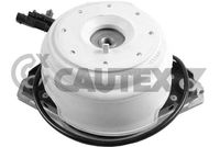 CAUTEX 753621 - Soporte, motor