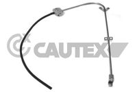 CAUTEX 017064 - Lado de montaje: Delante, derecha<br>Tipo de servicio: manual<br>Número de puertas: 2<br>