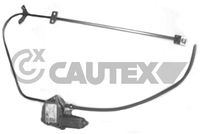 CAUTEX 037599 - Elevalunas