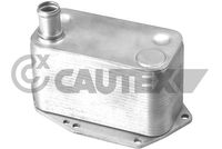 CAUTEX 769477 - Radiador de aceite, aceite motor