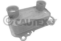 CAUTEX 769282 - Radiador de aceite, aceite motor