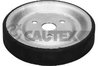 CAUTEX 771581 - Polea, bomba de agua