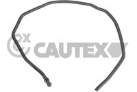 CAUTEX 771613 - Tubería de radiador