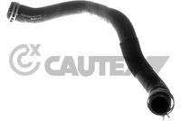 CAUTEX 771628 - Lado de montaje: debajo<br>