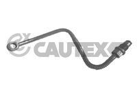 CAUTEX 771643 - Avance y retorno: para avance<br>