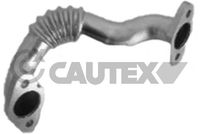 CAUTEX 771787 - Lado de montaje: al radiator EGR<br>Artículo complementario/Información complementaria: sin juntas<br>