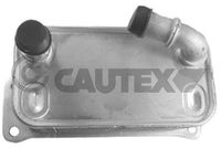 CAUTEX 771878 - Radiador de aceite, aceite motor