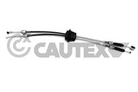 CAUTEX 772584 - Cable de accionamiento, caja de cambios manual