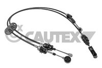 CAUTEX 772587 - Cable de accionamiento, caja de cambios manual