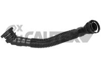 CAUTEX 768809 - Tubo flexible, ventilación del cárter