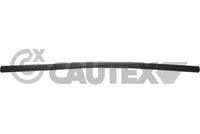 CAUTEX 013013 - 