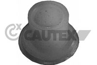 CAUTEX 030274 - 