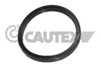 CAUTEX 952039 - Junta, termostato