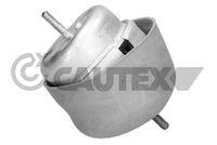 CAUTEX 766540 - Soporte, motor