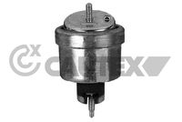 CAUTEX 480493 - Soporte, motor