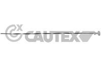 CAUTEX 031288 - Longitud [mm]: 526<br>Material: semimetálico<br>