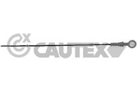 CAUTEX 461095 - Longitud [mm]: 563<br>Material: semimetálico<br>