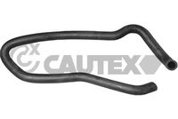 CAUTEX 026059 - Manguera, intercambiador de calor (calefacción)