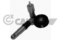 CAUTEX 461351 - Unidades accionadas: Alternador<br>Diámetro [mm]: 81<br>