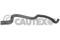 CAUTEX 752873 - Manguera, intercambiador de calor (calefacción)