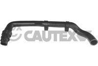 CAUTEX 036053 - 