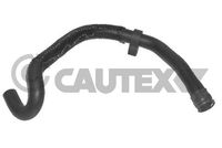 CAUTEX 036773 - Manguera, intercambiador de calor (calefacción)