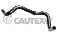 CAUTEX 011379 - Manguera, intercambiador de calor (calefacción)