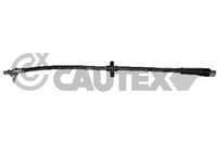 CAUTEX 752438 - Tubo flexible de frenos