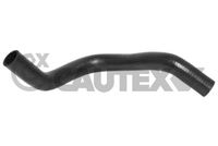 CAUTEX 086019 - Lado de montaje: arriba<br>