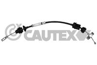 CAUTEX 038294 - Cable de accionamiento, accionamiento del embrague