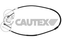 CAUTEX 038273 - Cable de accionamiento, freno de estacionamiento