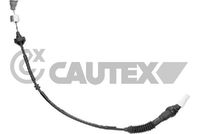 CAUTEX 038450 - Cable de accionamiento, accionamiento del embrague