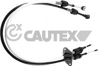 CAUTEX 766213 - Longitud 1/Longitud 2 [mm]: 1153/897+1015/805<br>Especificación: Doble<br>