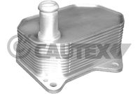 CAUTEX 081416 - Radiador de aceite, aceite motor