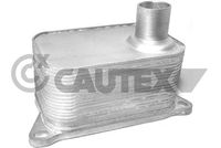 CAUTEX 462518 - Radiador de aceite, aceite motor