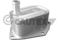 CAUTEX 701074 - Radiador de aceite, aceite motor