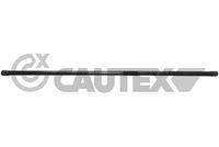 CAUTEX 031664 - 