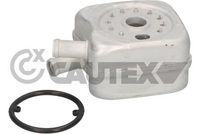 CAUTEX 462435 - Radiador de aceite, aceite motor