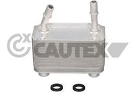 CAUTEX 751734 - Radiador de aceite, aceite motor