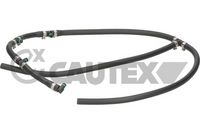 CAUTEX 760323 - Tubo flexible, combustible de fuga